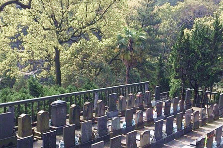 杭州市上城区南山陵园墓区环境图