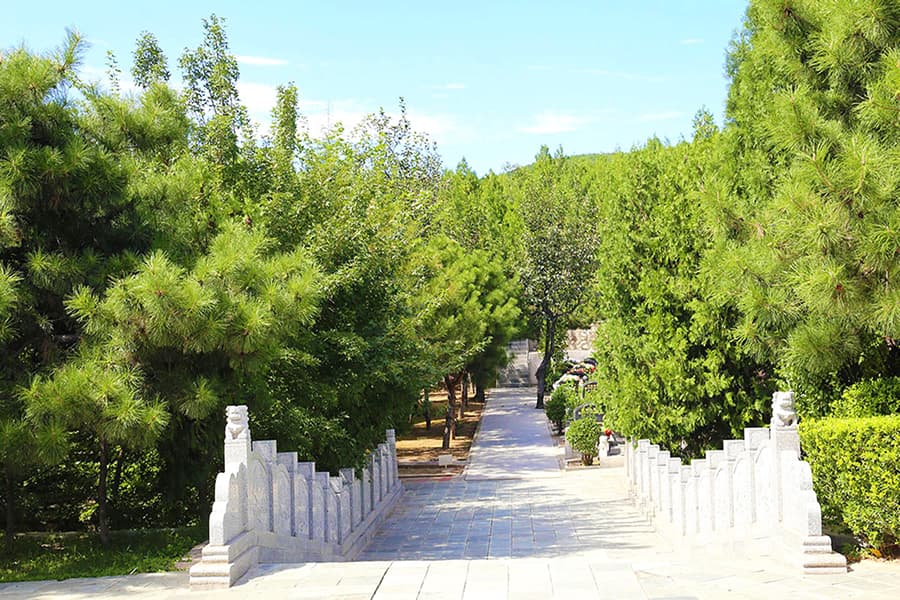桃坞公墓景观图