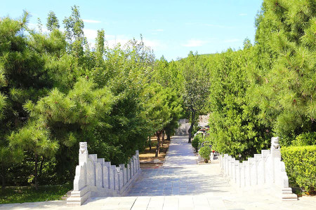 桃坞公墓景观图