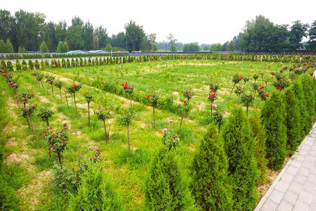 排门山公墓景观图