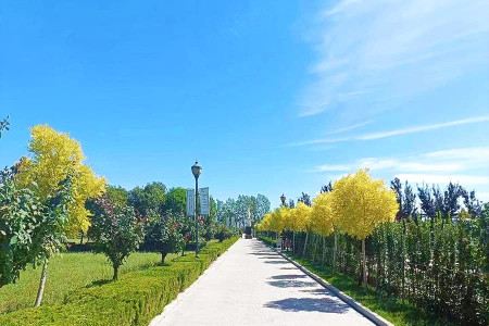 桃坞公墓景观图