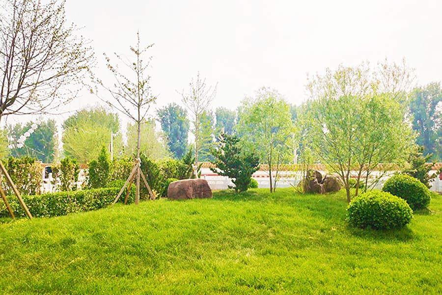 排门山公墓景观图