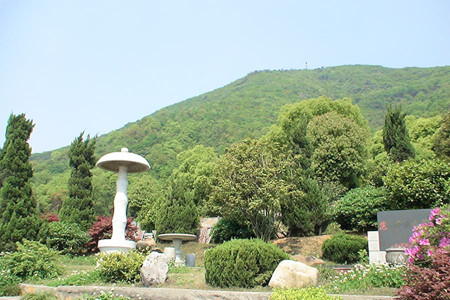杭州市上城区龙居寺陵园园区环境图