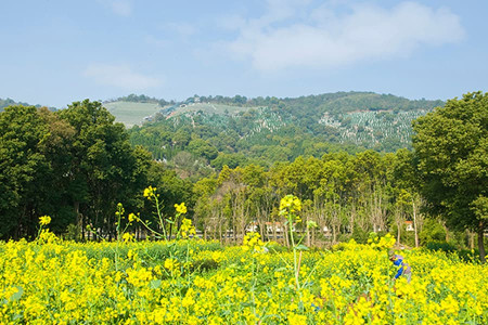 元宝山陵园景观图