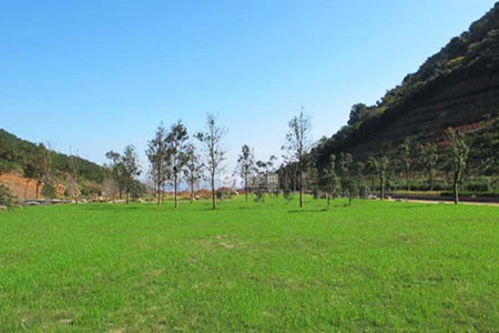 杭州市临平区杭州第三公墓园区环境图
