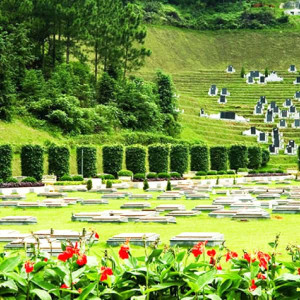 杭州市拱墅区半山公墓生态葬草坪葬墓型1号
