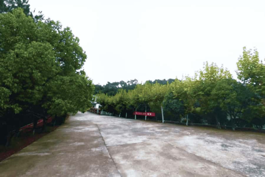 湖山公墓景观图