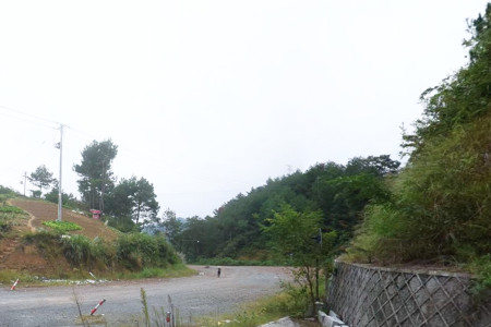 湖山公墓景观图
