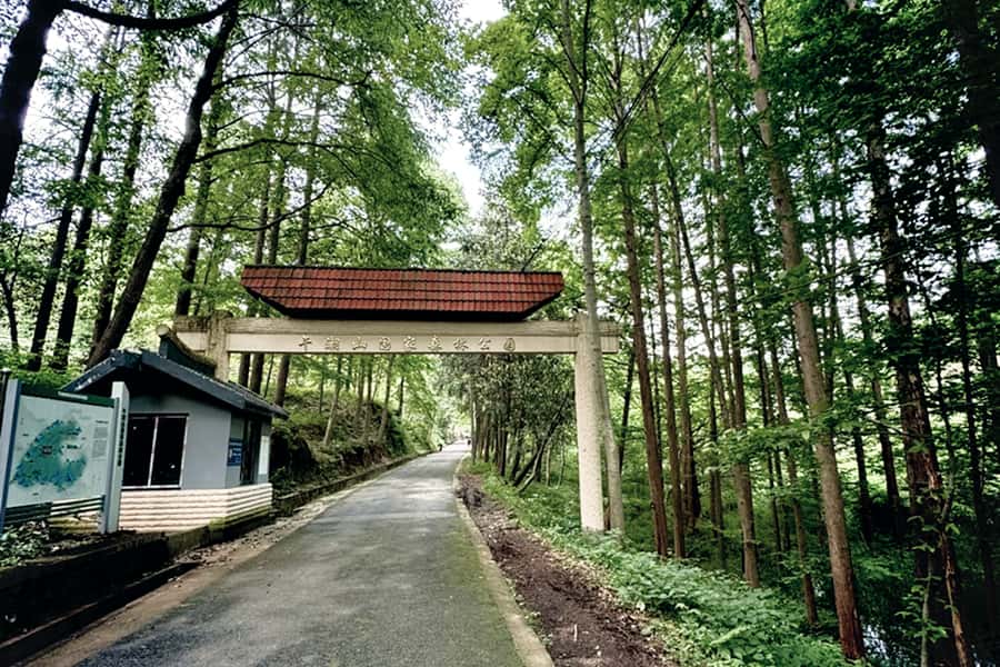 陵园大门图园区环境图