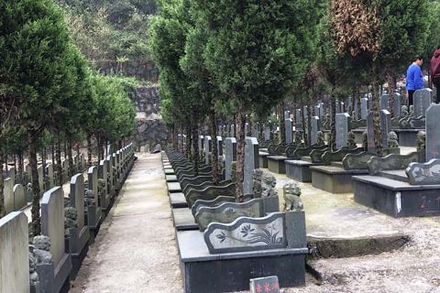 陵园大门图墓区环境图