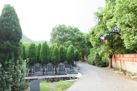 元宝山陵园墓区环境图