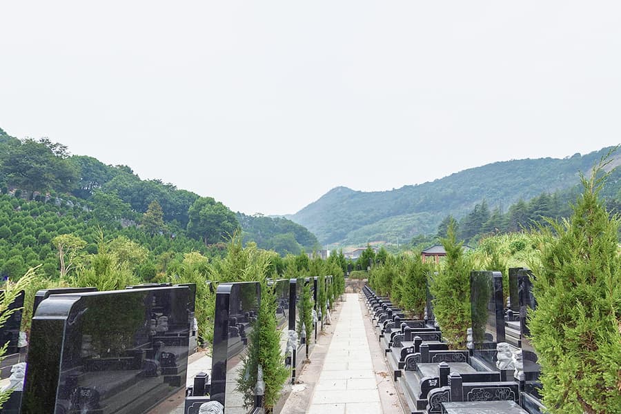 杭州市临平区印花坞公墓墓区环境图