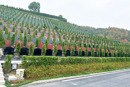 萧山泰和陵园墓区环境图