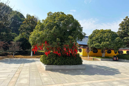 灵山后花园景观图