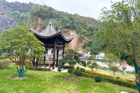 萧山泰和陵园景观图