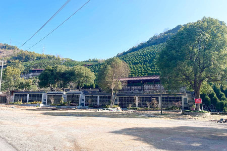 杭州市余杭区瓶窑公墓墓区环境图