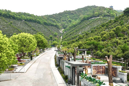 杭州市拱墅区半山公墓墓区环境图