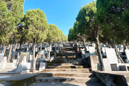 杭州市余杭区瓶窑公墓墓区环境图