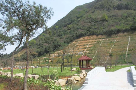 杭州市临平区杭州第三公墓园区环境图
