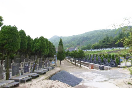 杭州市临平区印花坞公墓墓区环境图