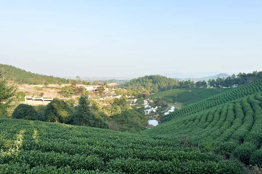 安吉龙山源景观图