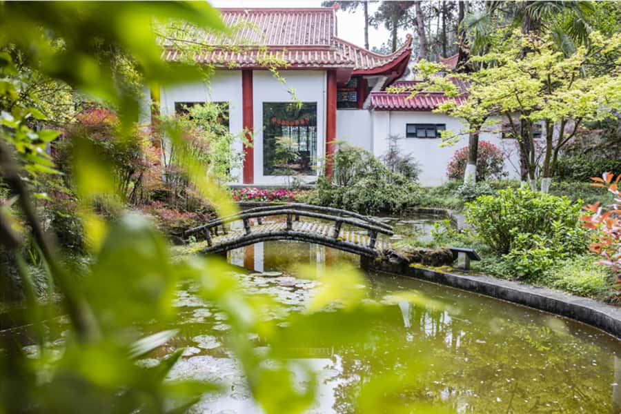 杭州市余杭区凤凰山公墓园区湖景图