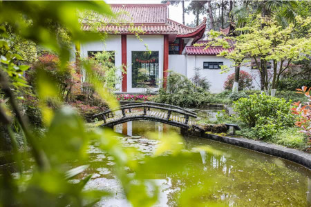 杭州市余杭区凤凰山公墓园区湖景图