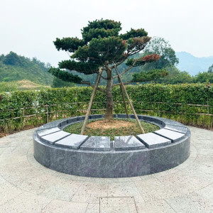 天竹园公墓树葬